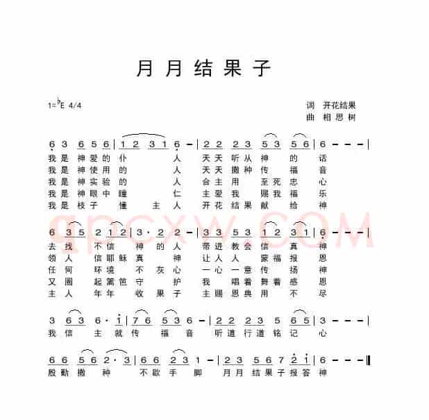 天天结果子【开花结果】