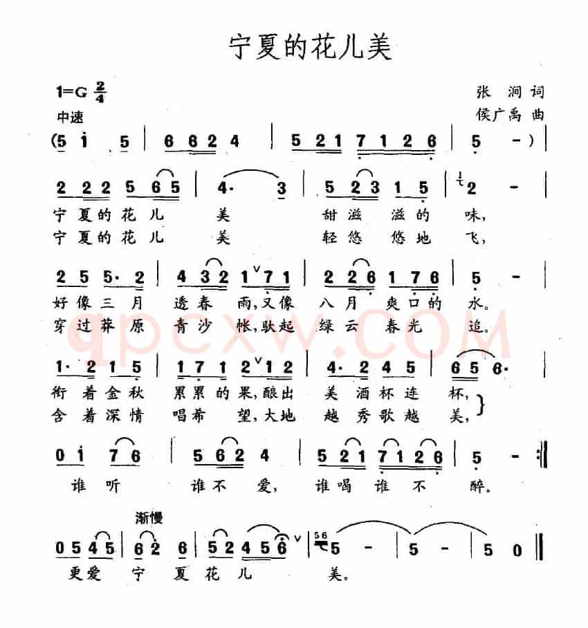 宁夏花儿美