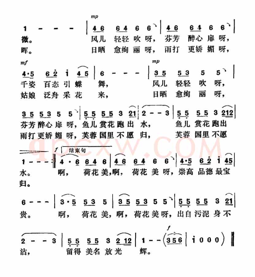 荷花美（李严词 陈川、文健曲）