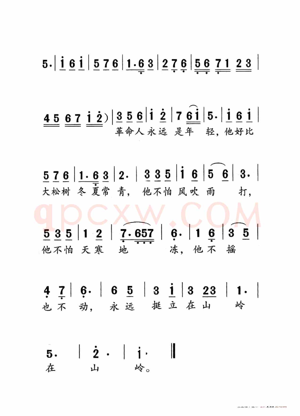 革命人永远是年轻（老人适用）