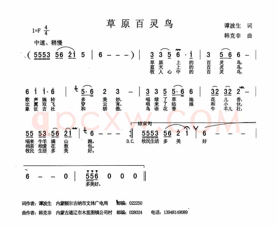 草原百灵鸟