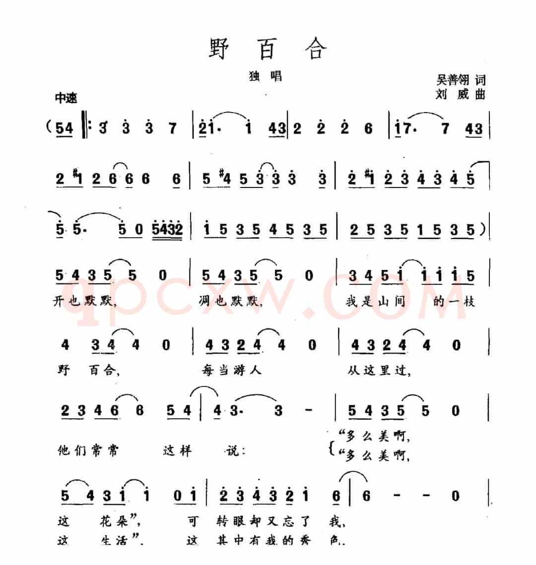 野百合
