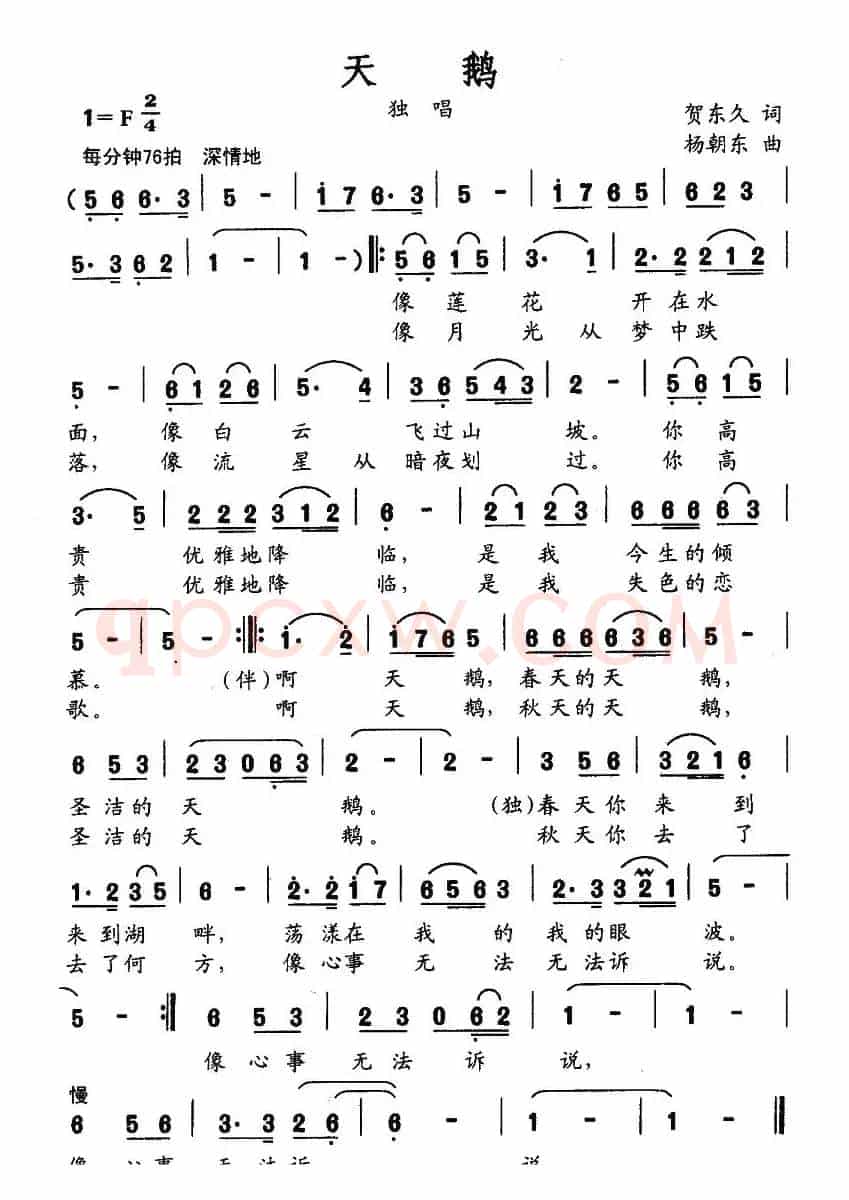天鹅（贺东久词 杨朝东曲）