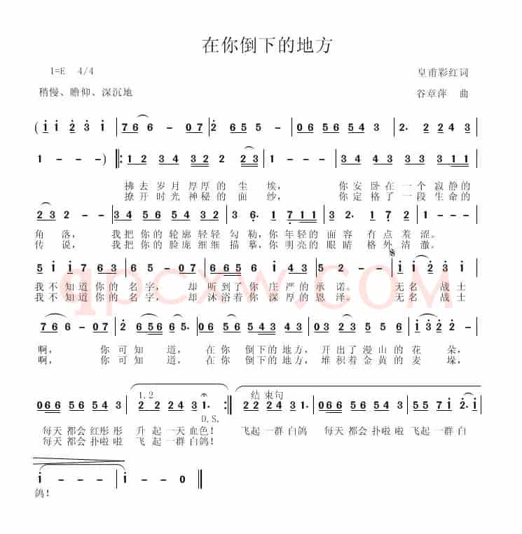 在你倒下的地方
