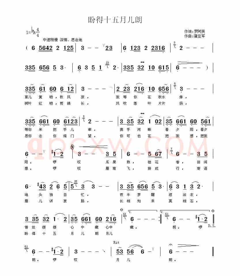 盼得十五月儿朗
