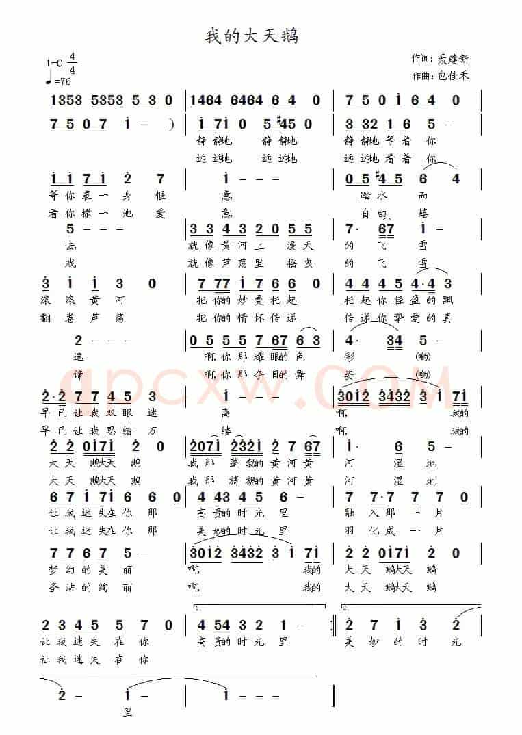 我的大天鹅