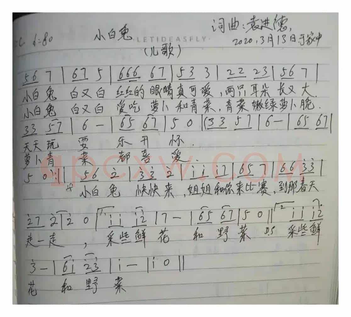 小白兔