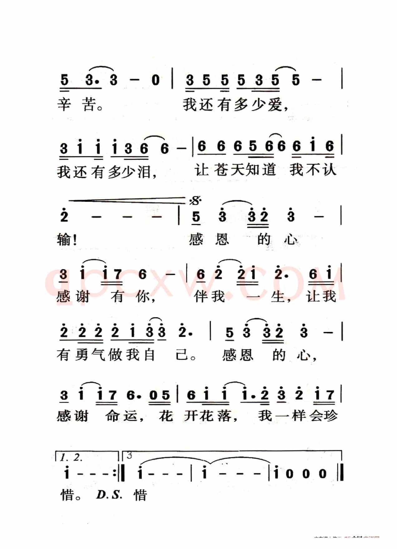 感恩的心（老人适用）
