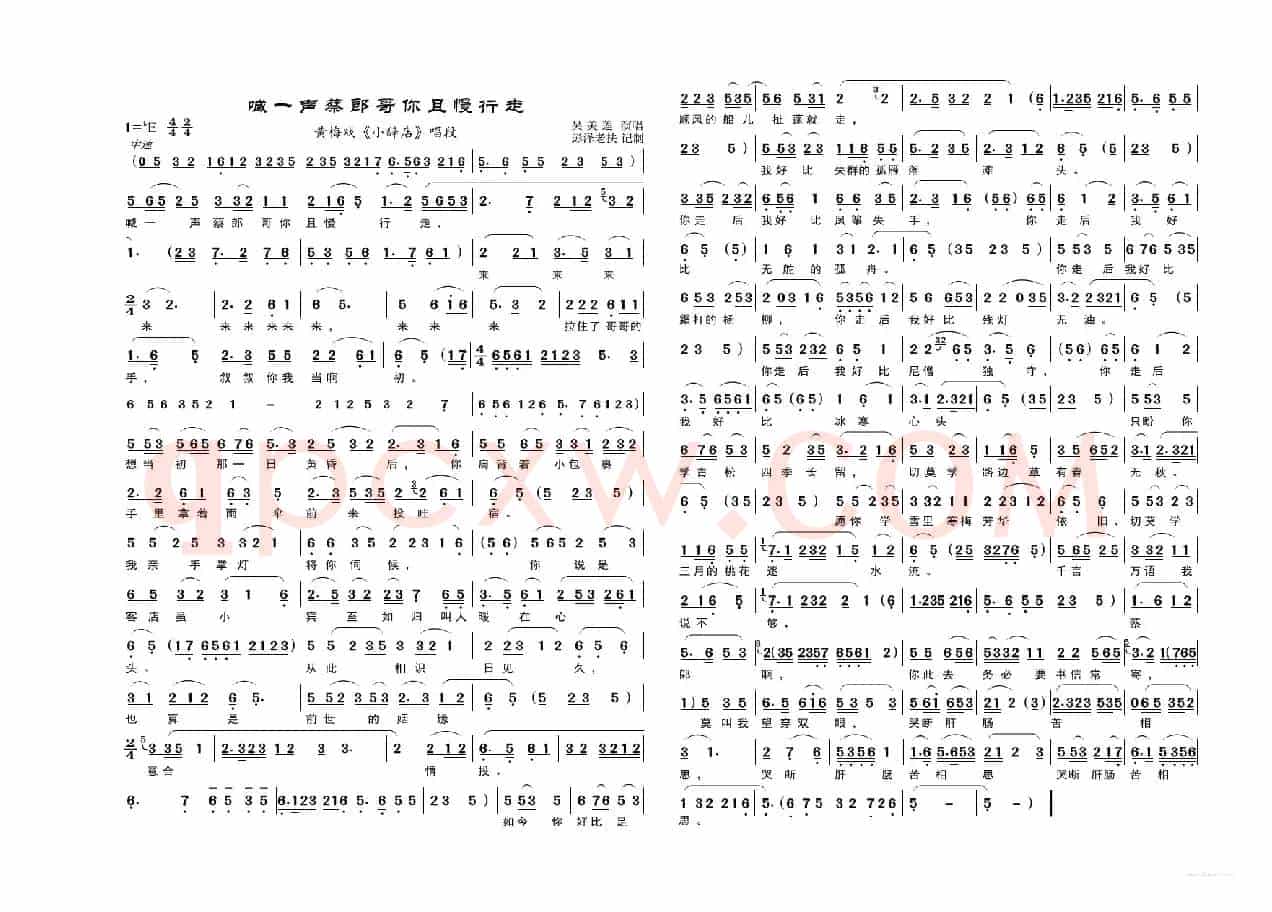 喊一声蔡郎哥你且慢走（黄梅戏《小辞店》）