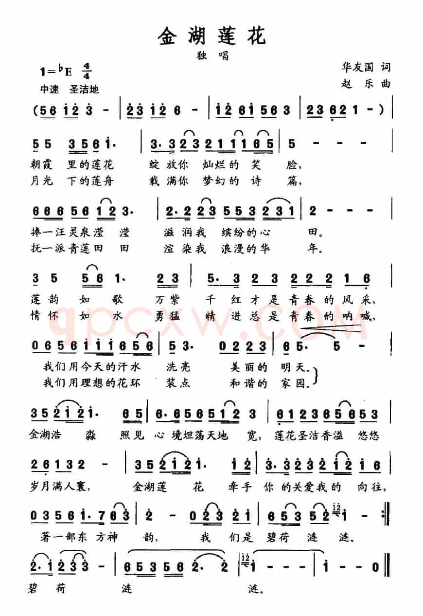金湖莲花
