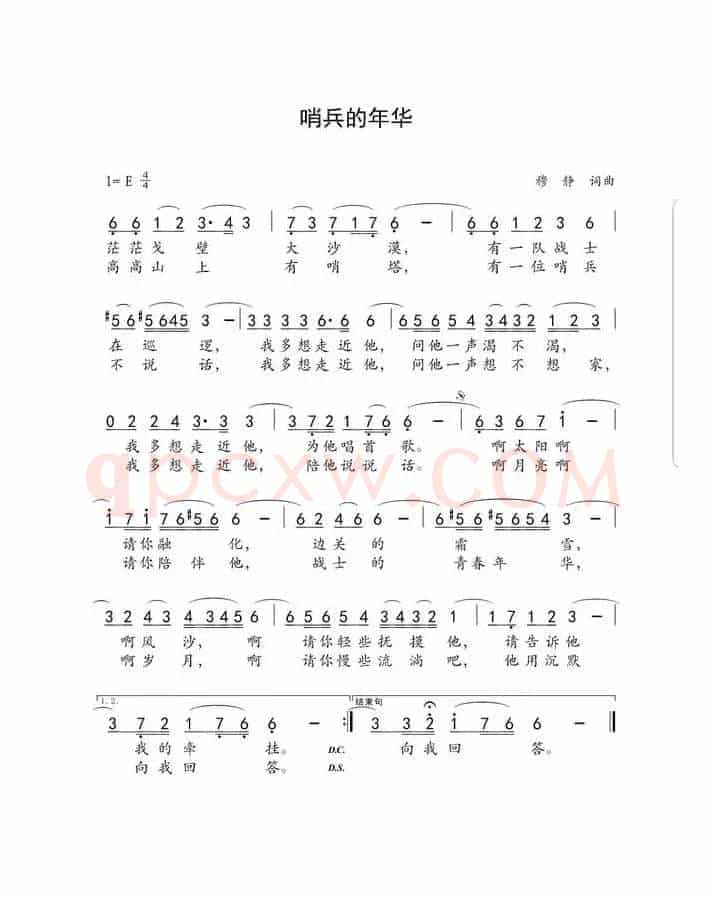哨兵的年华