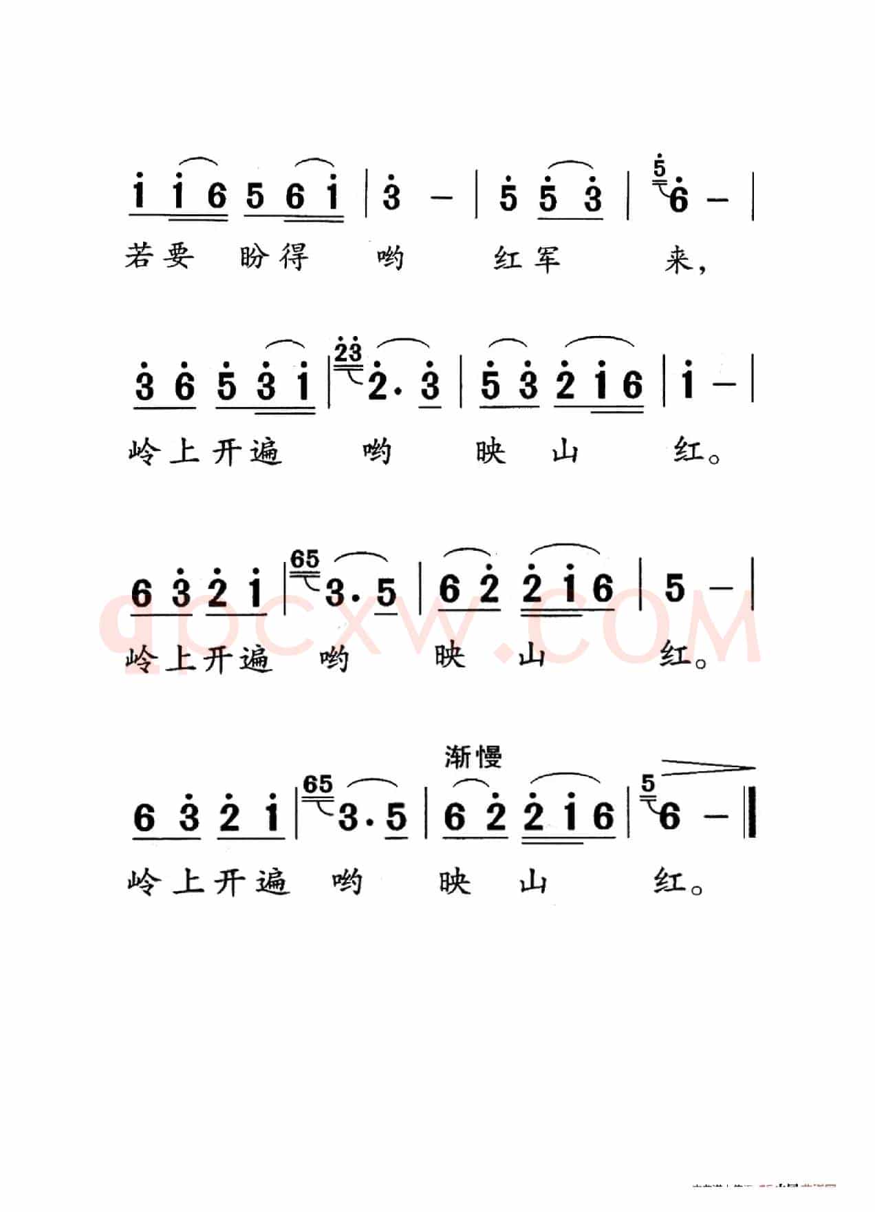 映山红（老人适用）
