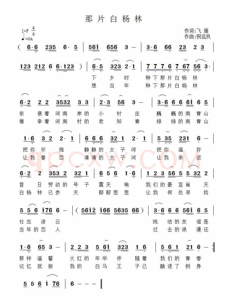 那片白杨林