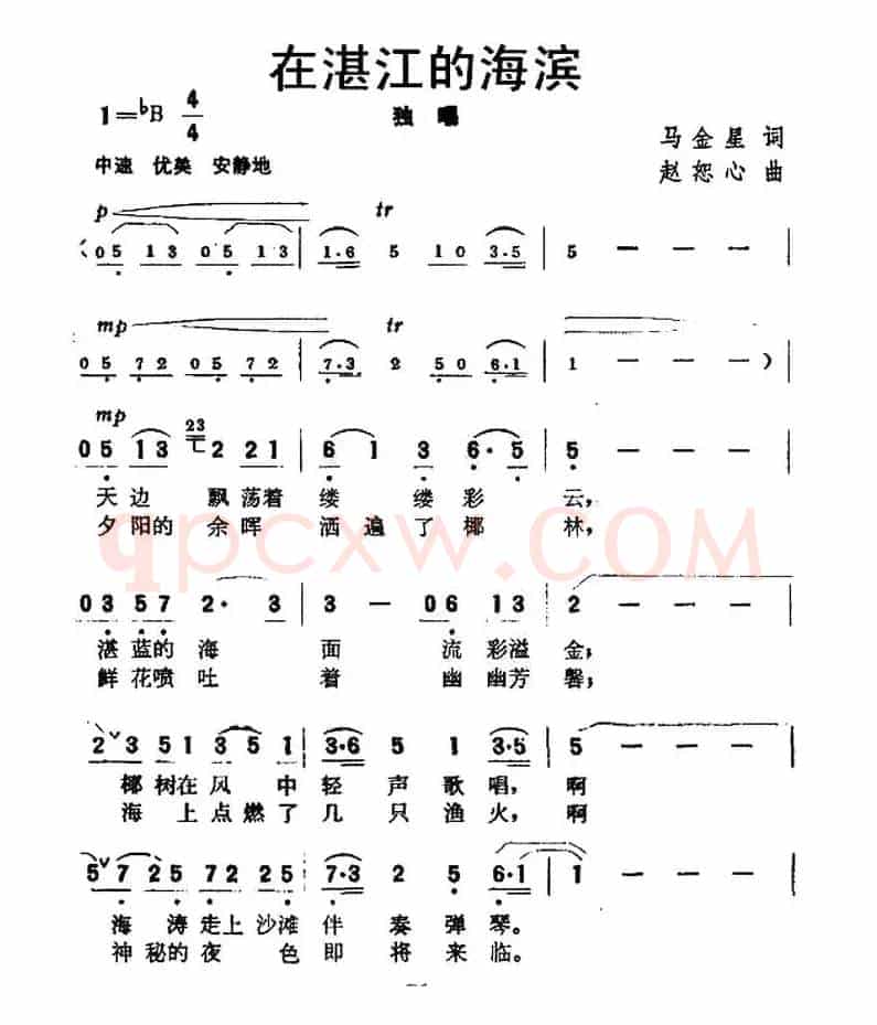在湛江的海滨