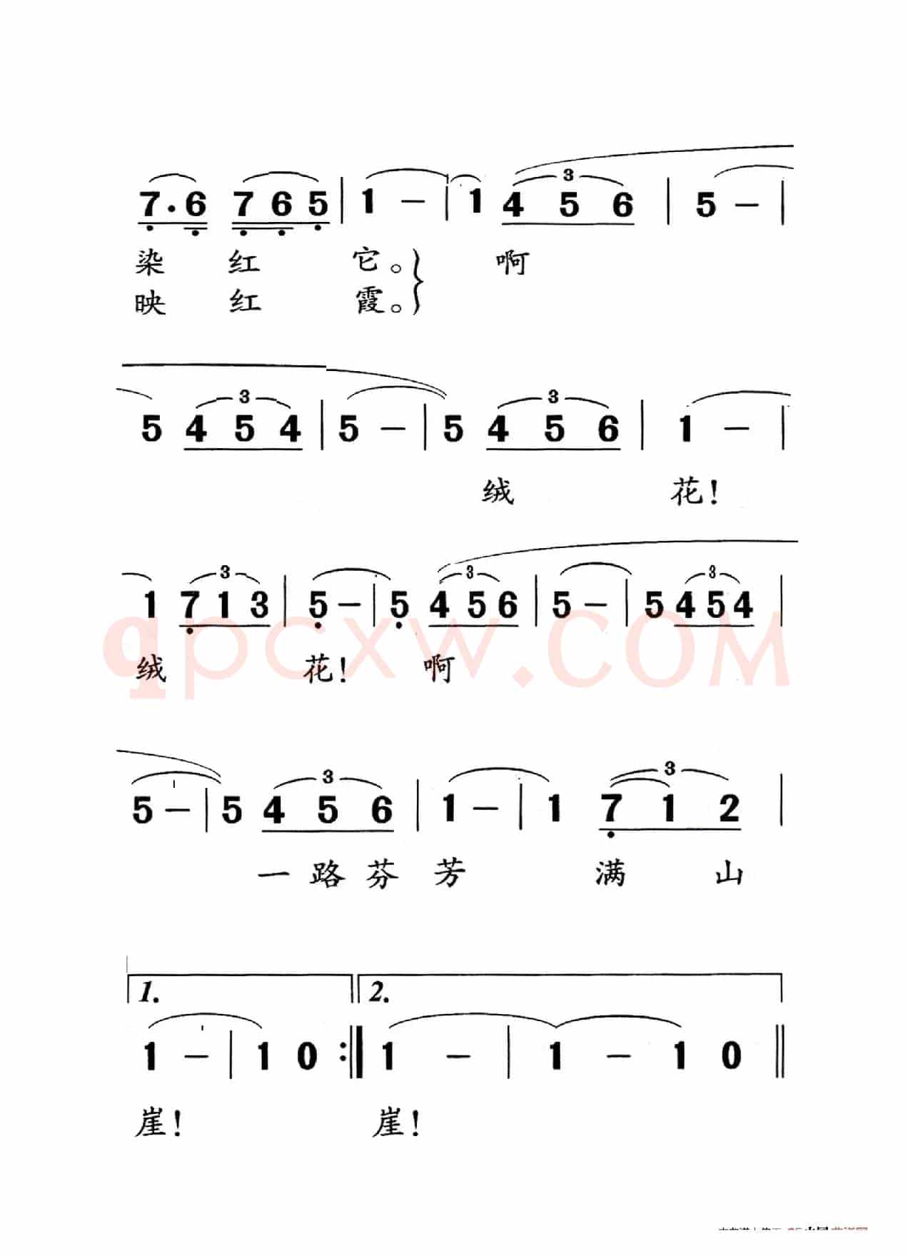 绒花（老人适用）