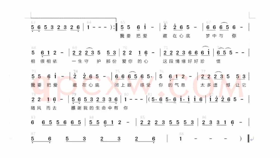 藏爱（何鹏DJ版）