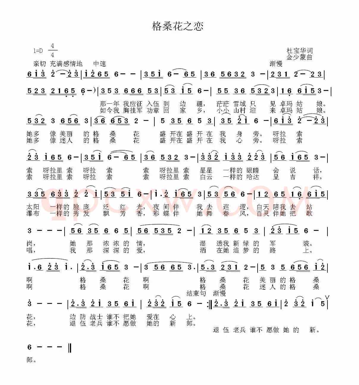 格桑花之恋