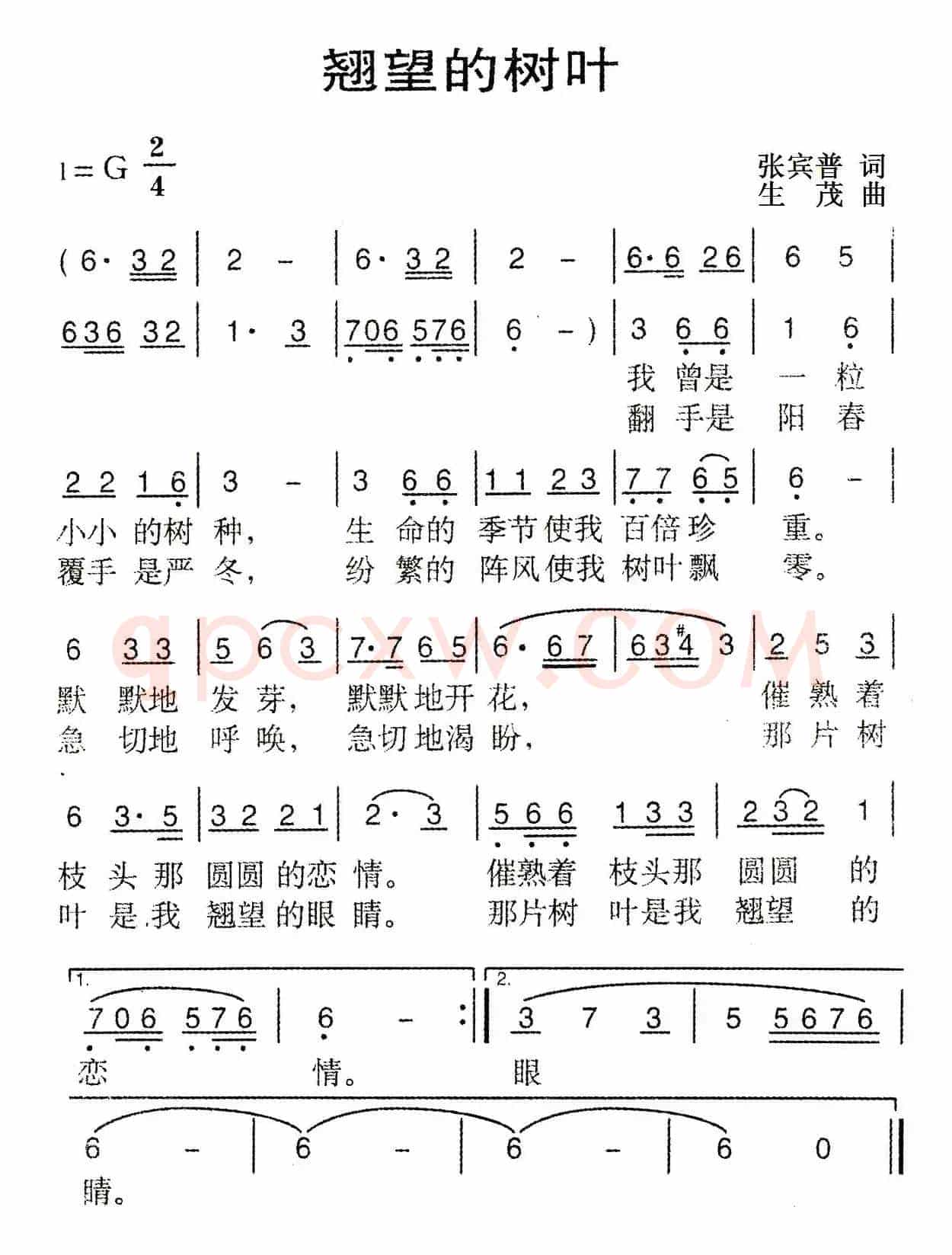 翘望的树叶