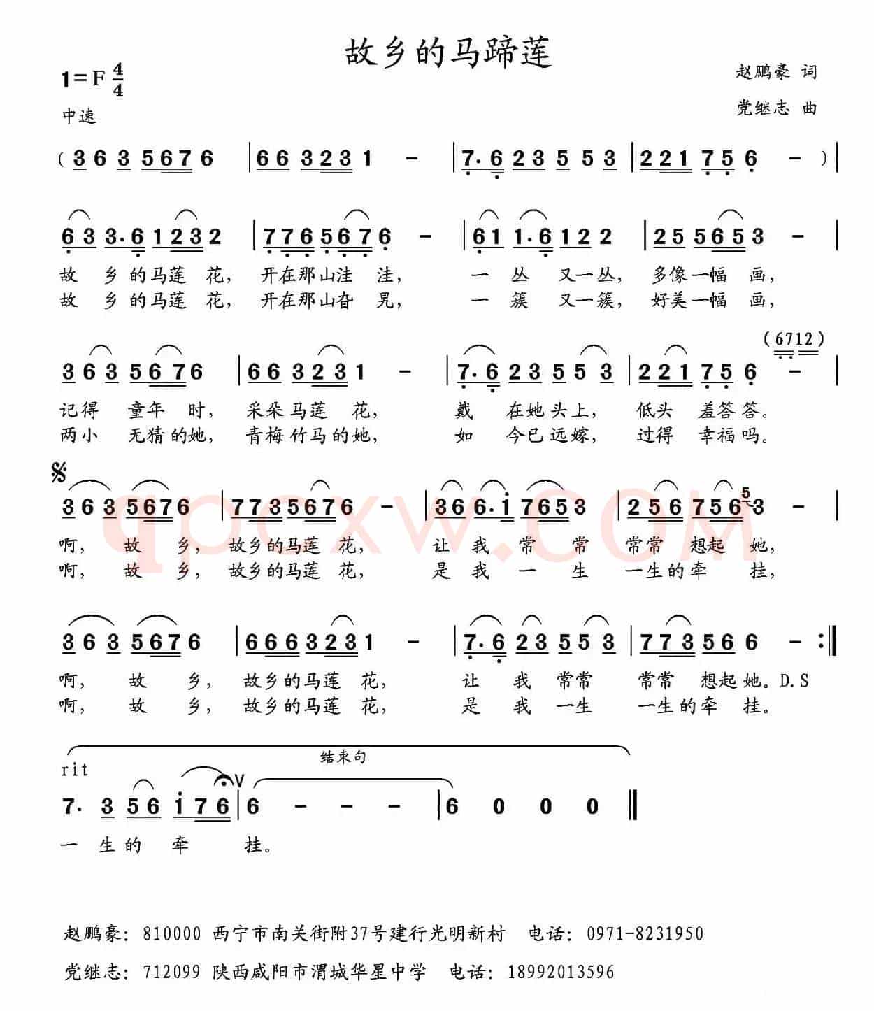 故乡的马蹄莲 