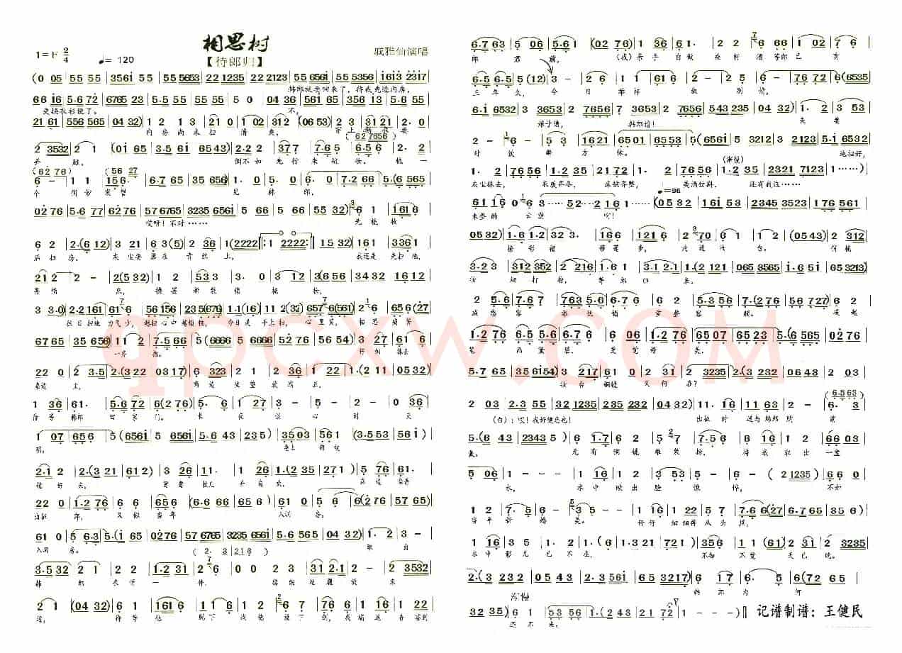 （越剧）相思树【待郎归】