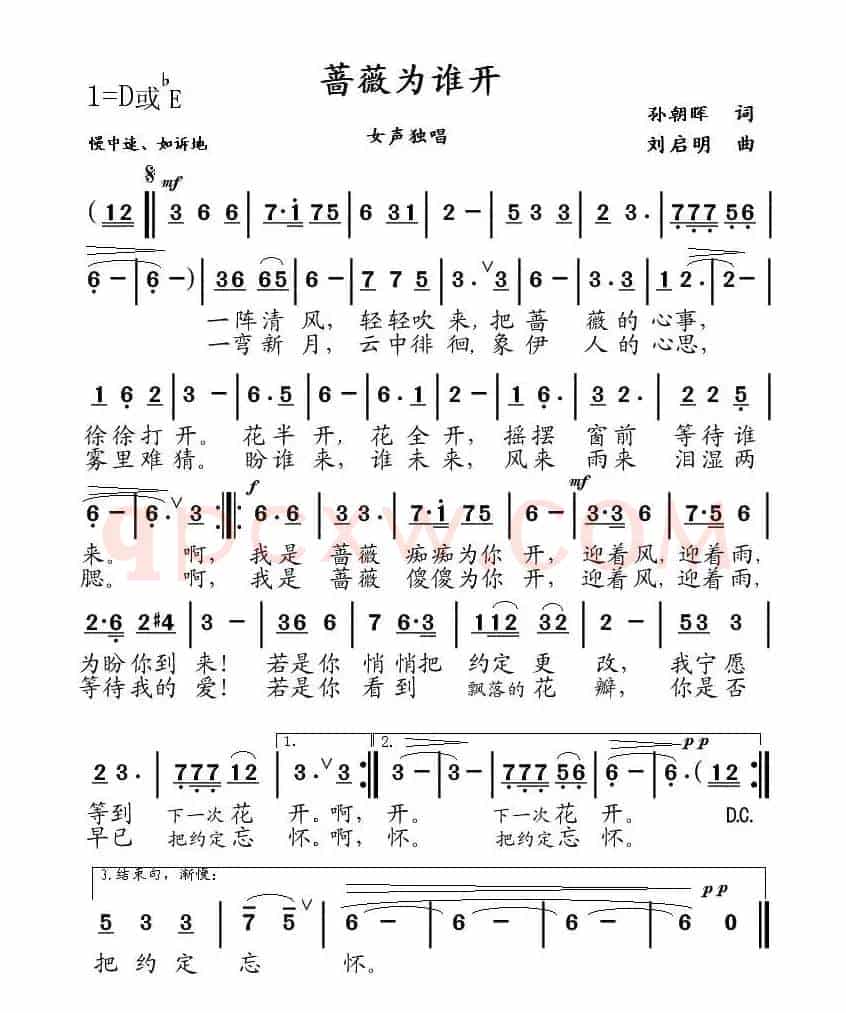 蔷薇为谁开（孙朝晖词 刘启明曲）