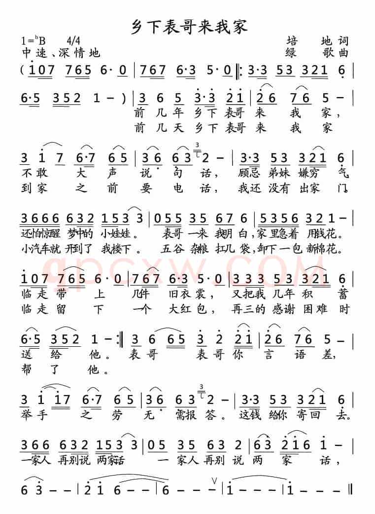 乡下表哥来我家