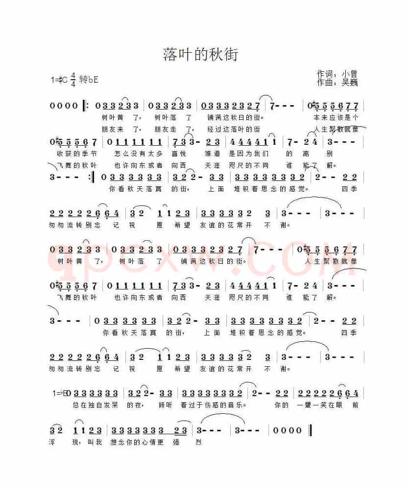 落叶的秋街