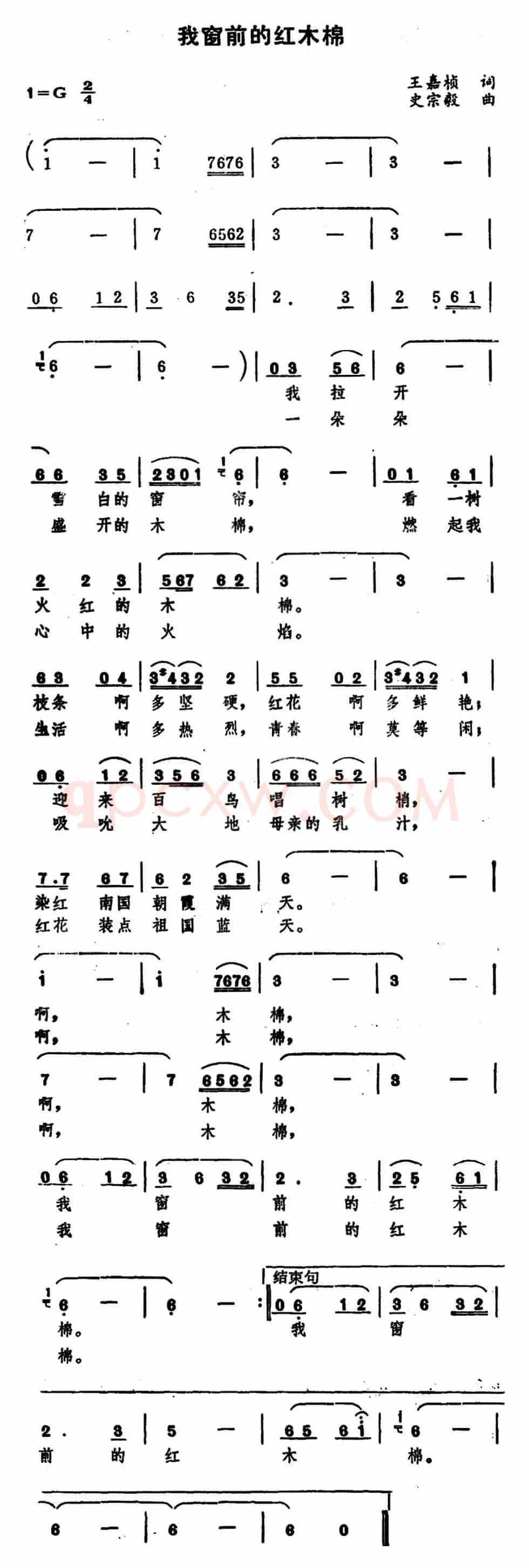 我窗前的红木棉