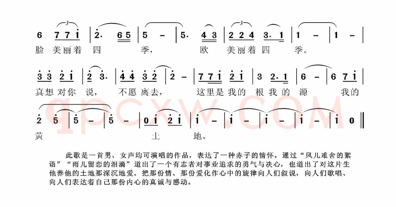 真想对你说