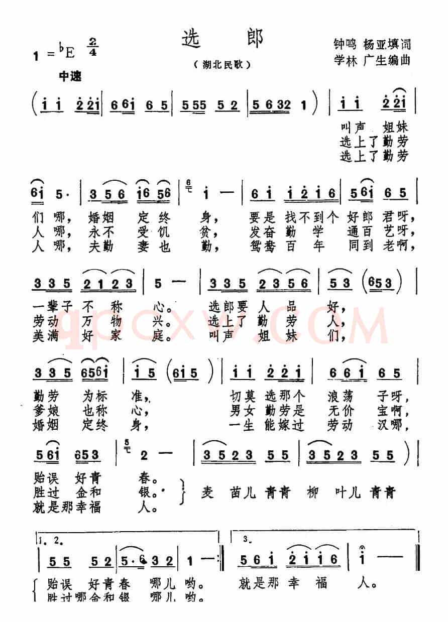 选郎