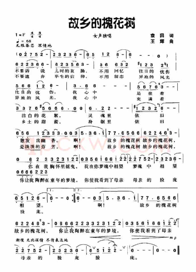 故乡的槐花树