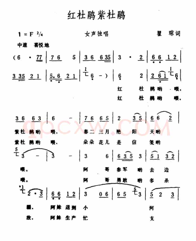 红杜鹃紫杜鹃