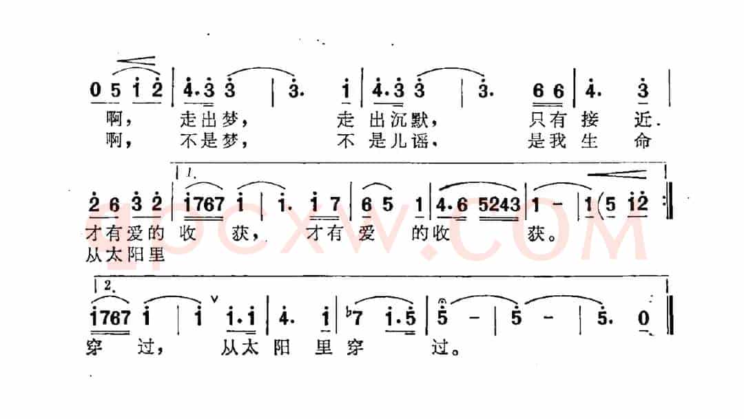 生命从太阳里穿过