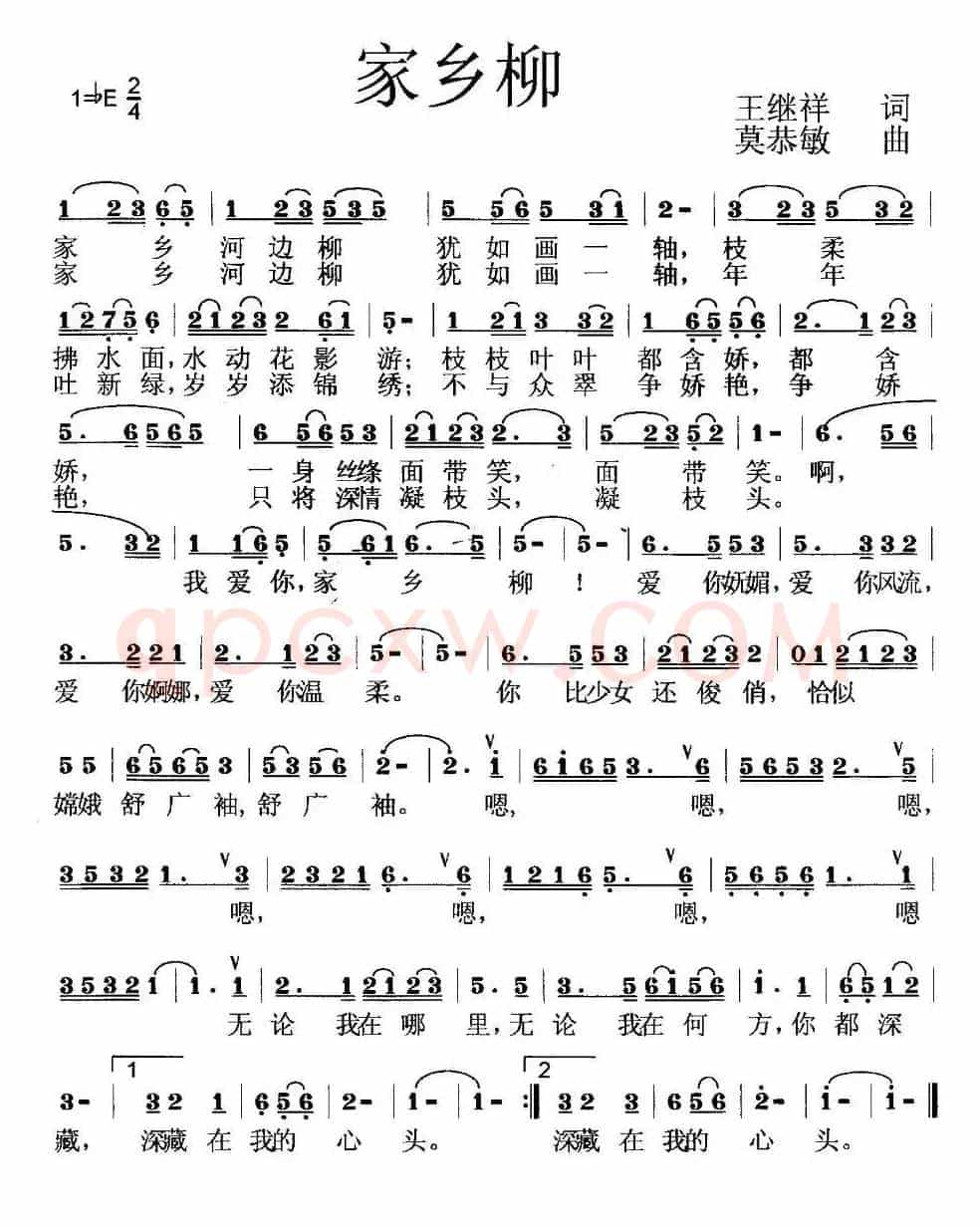 家乡柳