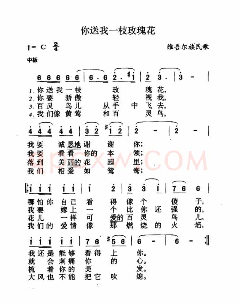 你送我一枝玫瑰花