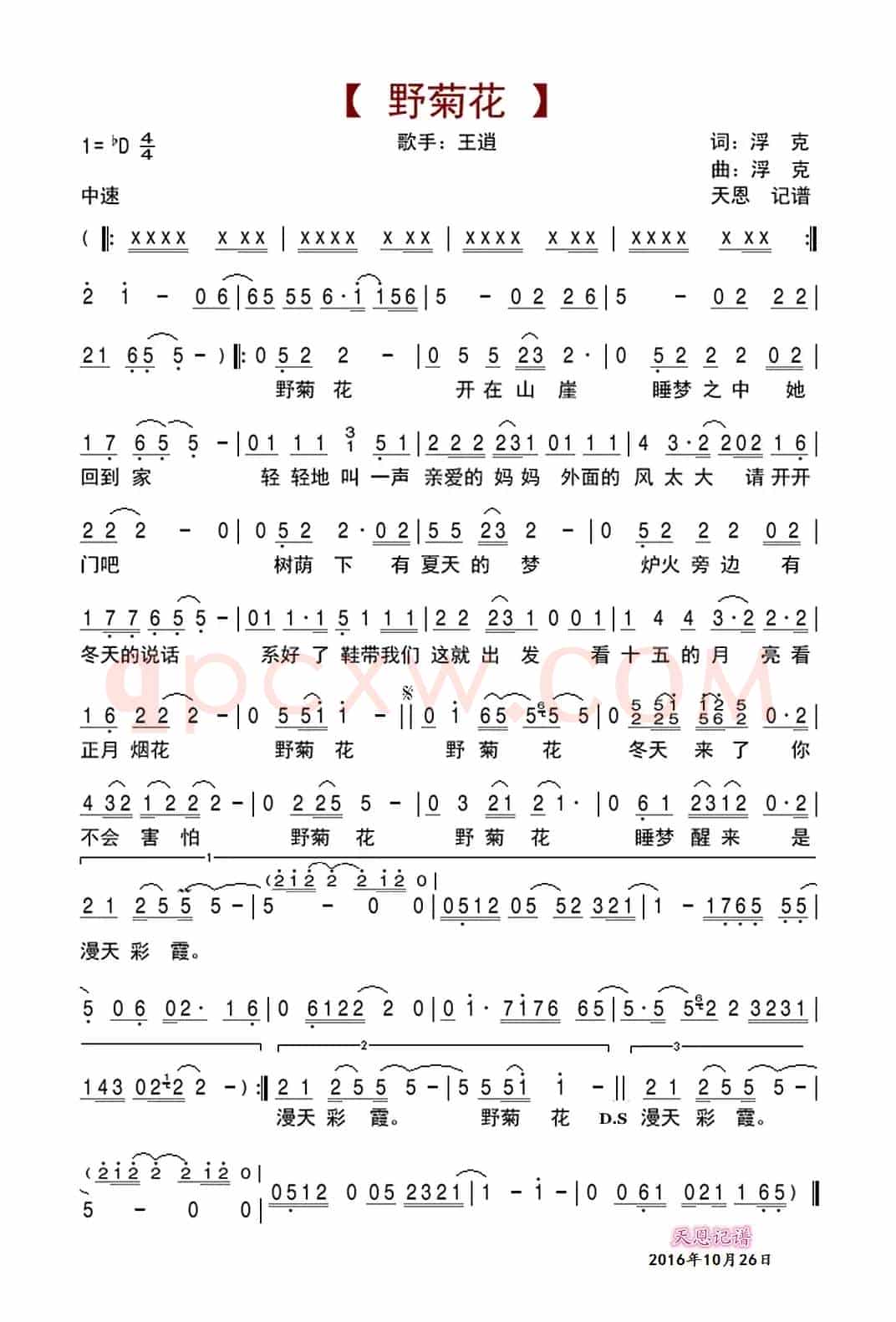 野菊花（浮克 词曲）