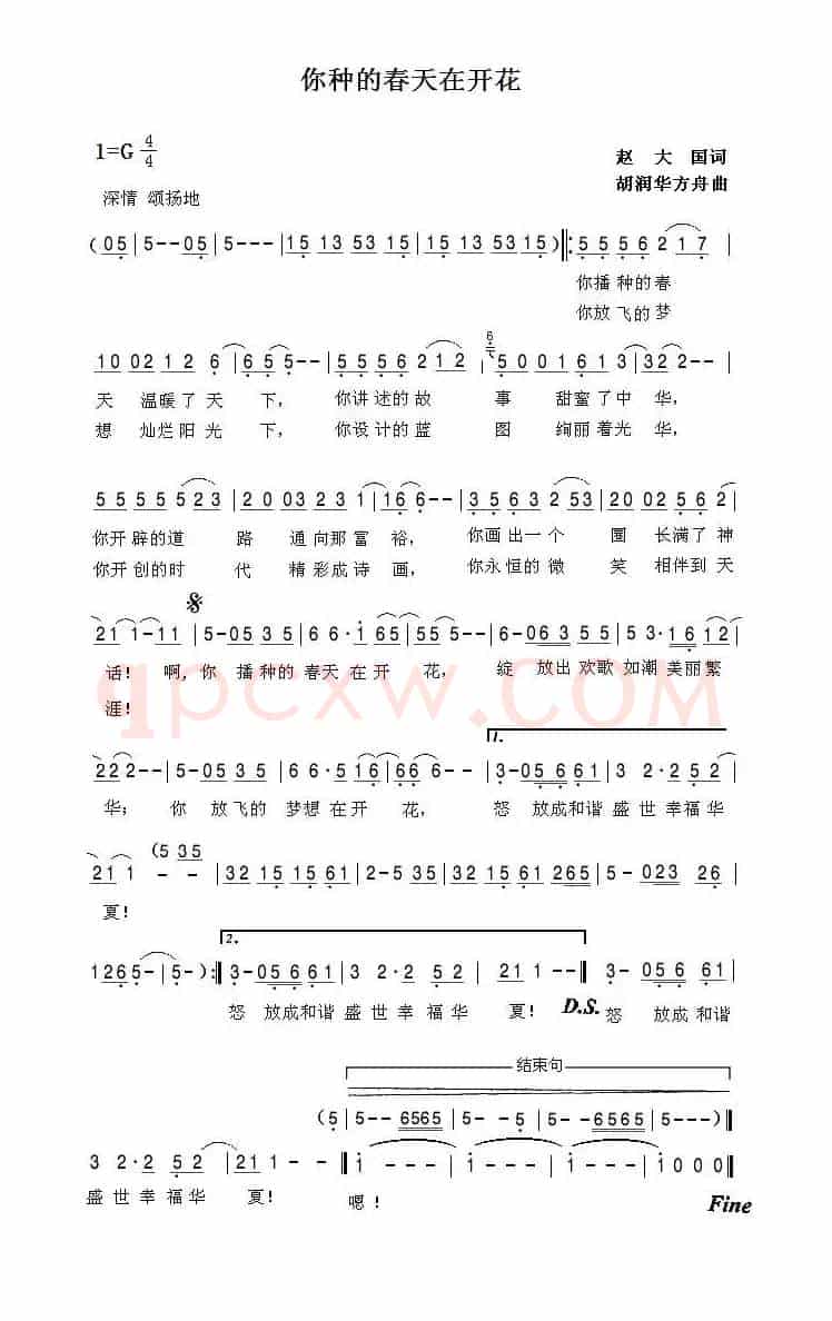 你种的春天在开花