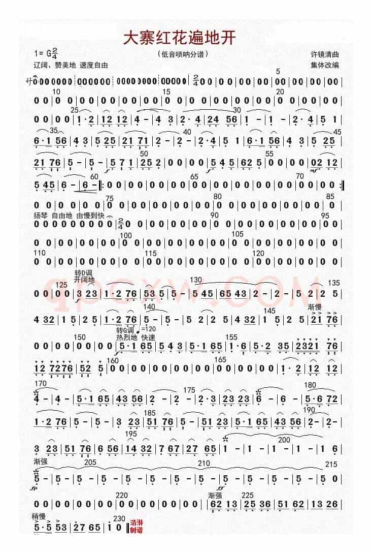 大寨红花遍地开（低音唢呐（修改版））