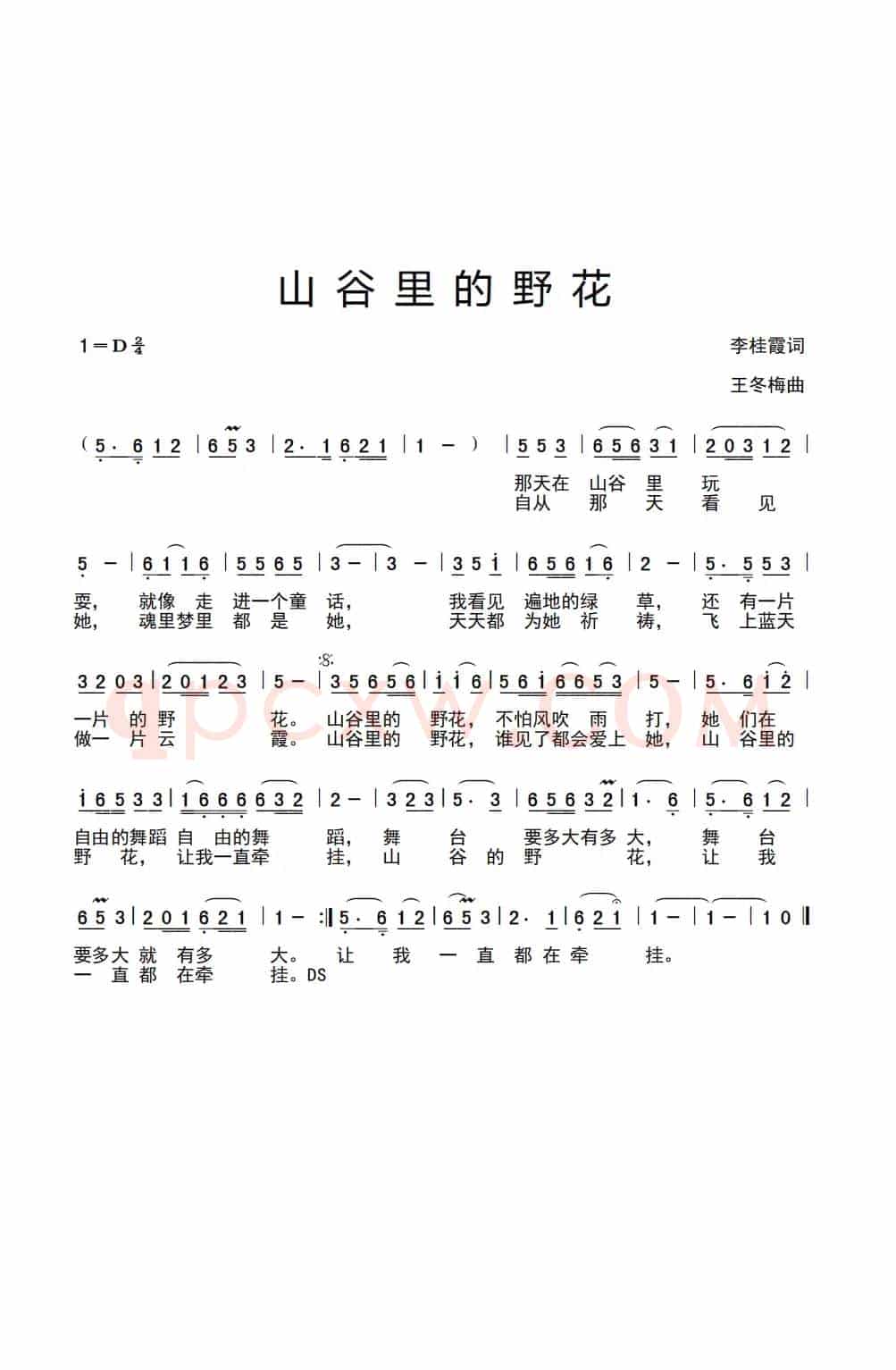 山谷里的野花