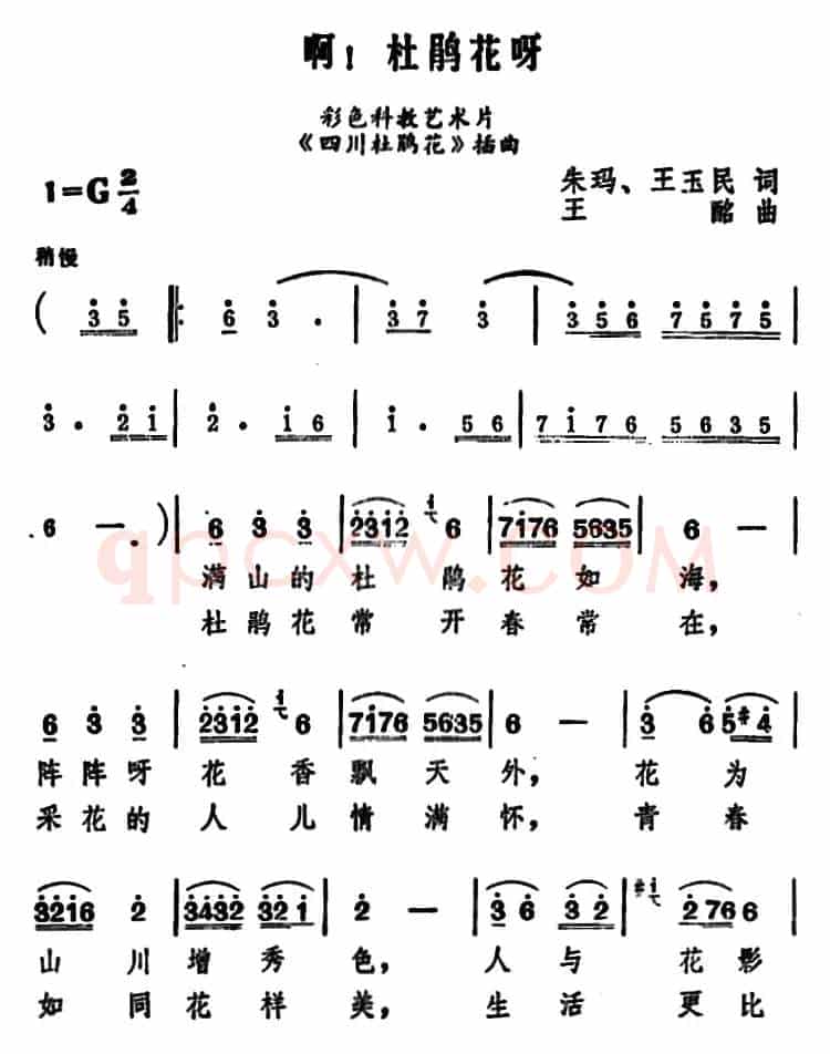 啊！杜鹃花呀（科教片《四川杜鹃花》插曲）