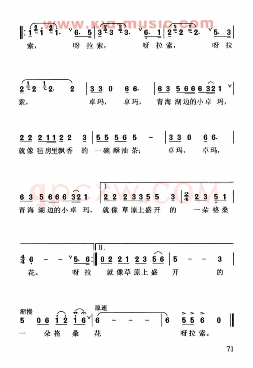 青海湖边的小卓玛