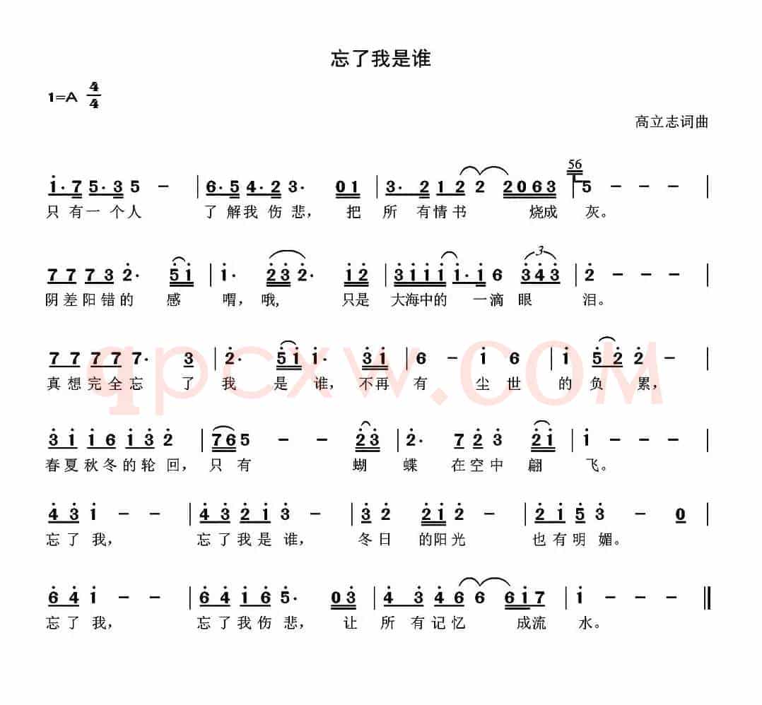 忘了我是谁（高立志 词曲）