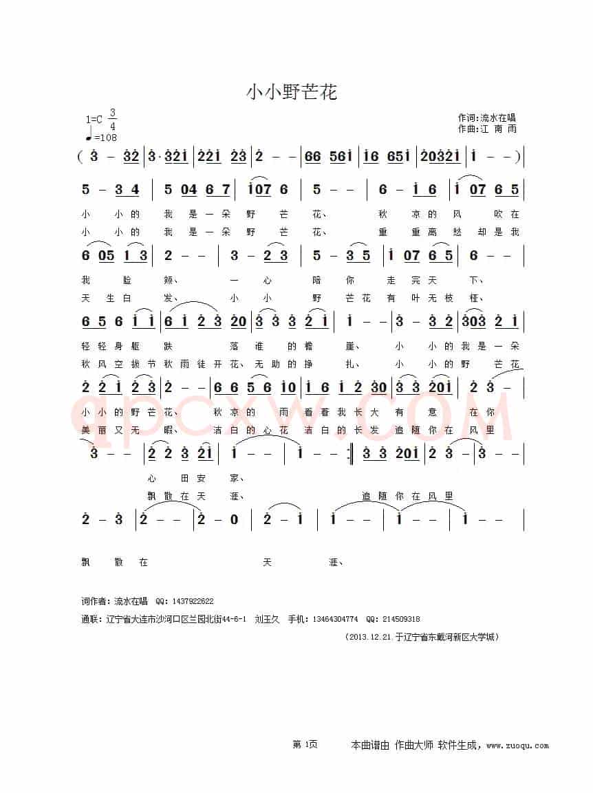 小小野芒花