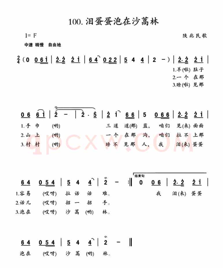 泪蛋蛋泡在沙蒿蒿林