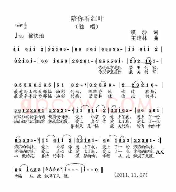 陪你看红叶