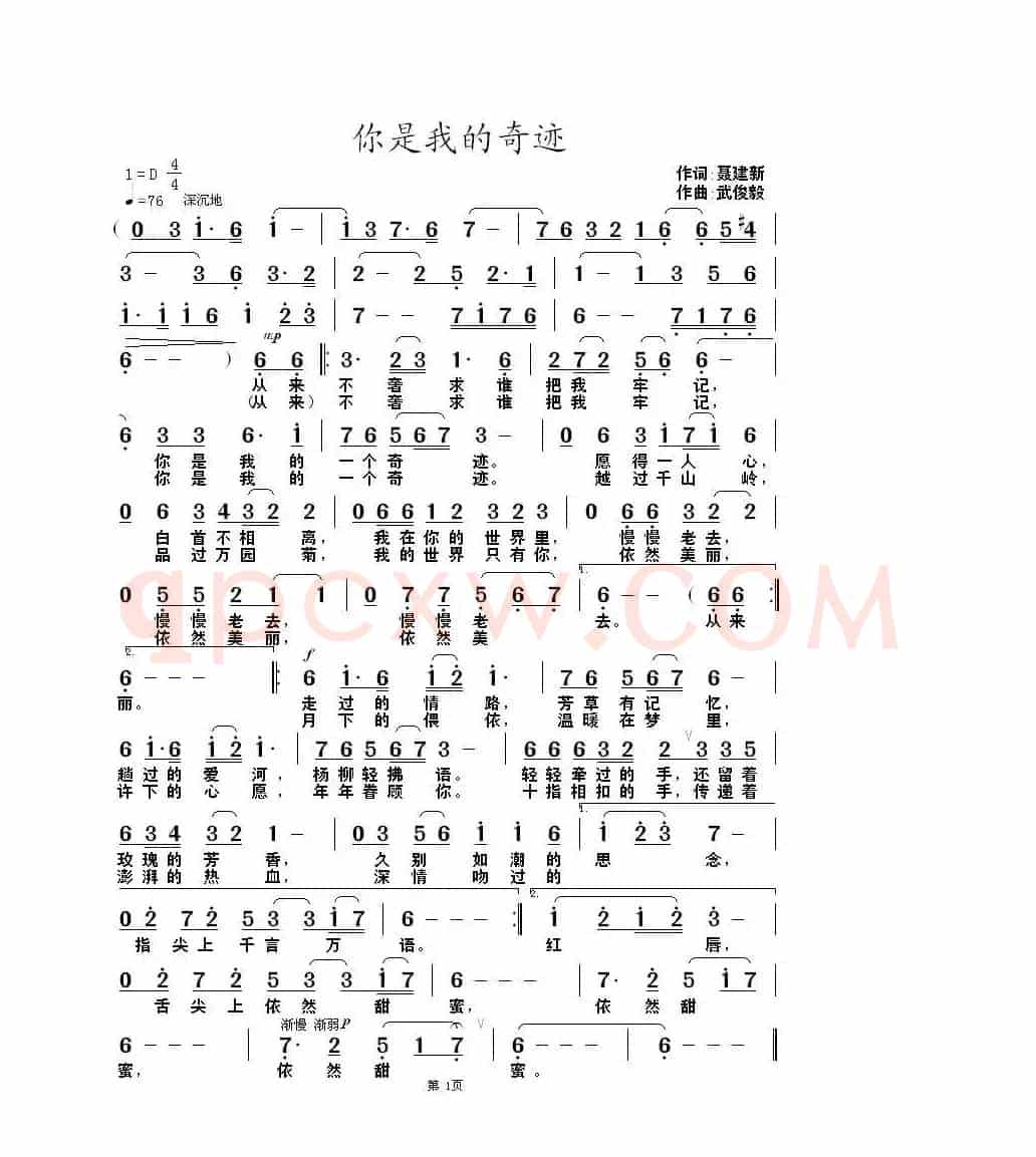 你是我的奇迹（聂建新词 武俊毅曲）