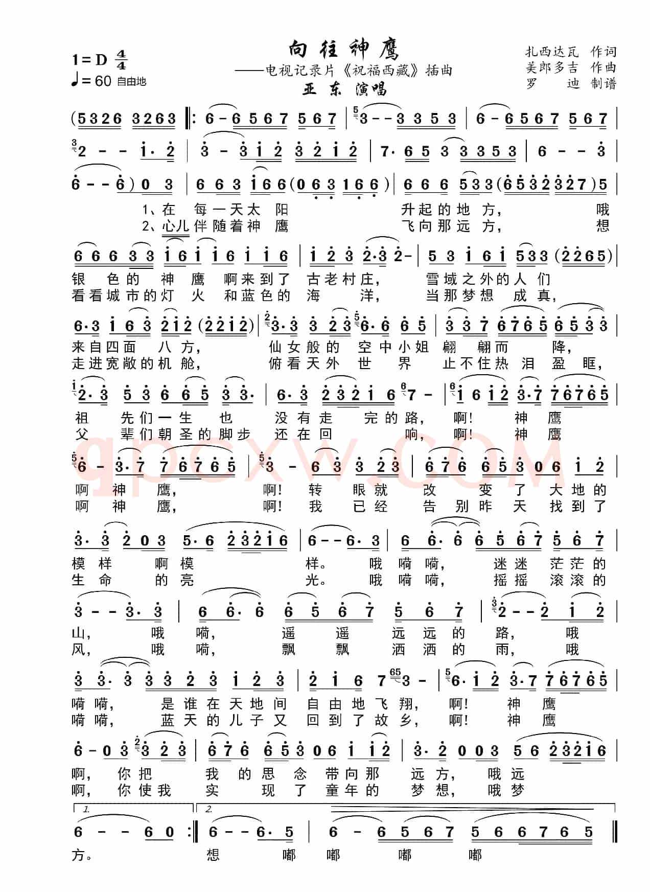 向往神鹰