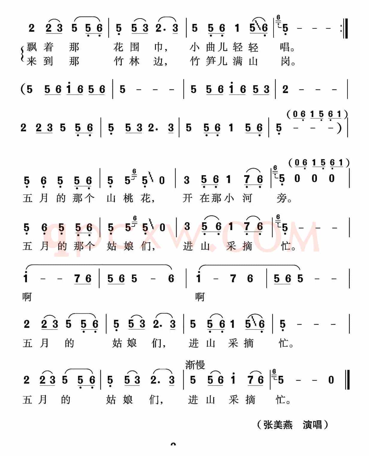 五月的山桃花
