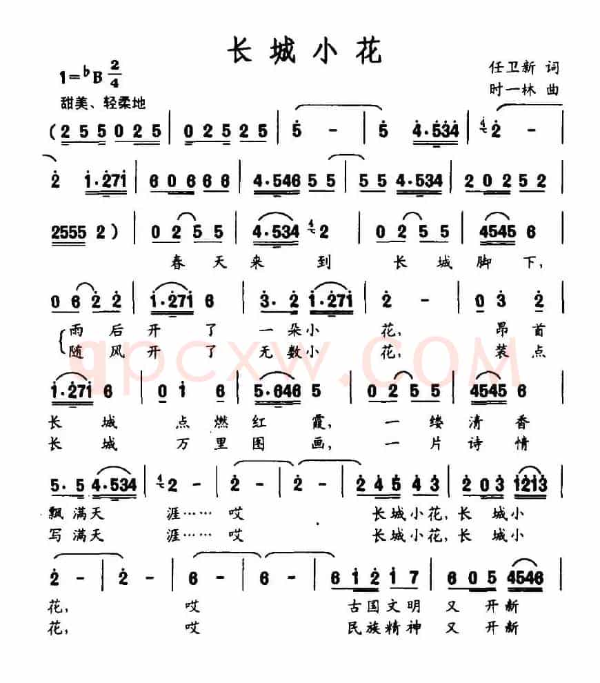 长城小花