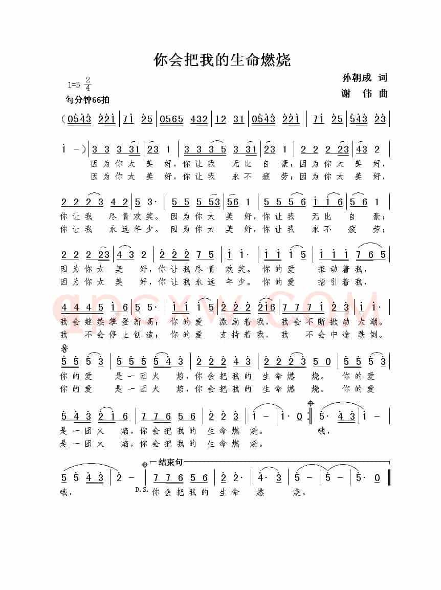 你会把我的生命燃烧（孙朝成词  谢伟曲）